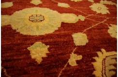 Orientalny ręcznie tkany dywan Ziegler z pakistanu 100% wełna 250x350