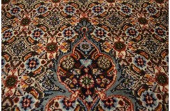 Dywan Mud Sherkat Farsh Fine z Iranu ręcznie tkany wełna 250x300cm