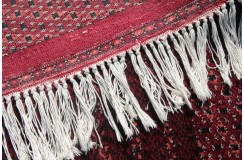 Oryginalny dywan Buchara z Pakistanu 100% wełna 3x4m