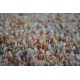 Wart 4500 zł 8kg/m2 dywan Shaggy Brinker Carpets Salsa 63 wełna 170x230cm