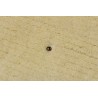 Gładki dywan 170x240c SWAROVSKI ELEMENTS LUXOR STYLE wełny owczej lux